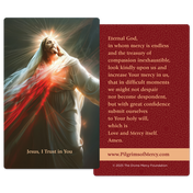 Product image for Divine Mercy Prayer Cards (Pack of 20) image number 1
