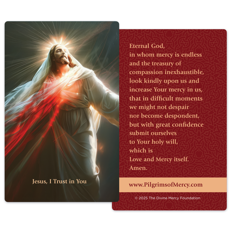 Product image for Divine Mercy Prayer Cards (Pack of 20) image number 1