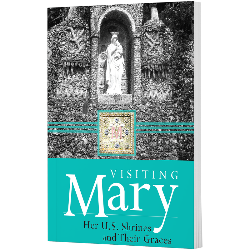 Book cover titled Visiting Mary featuring a black and white photo of a Marian shrine with a turquoise section at the bottom. image number 0
