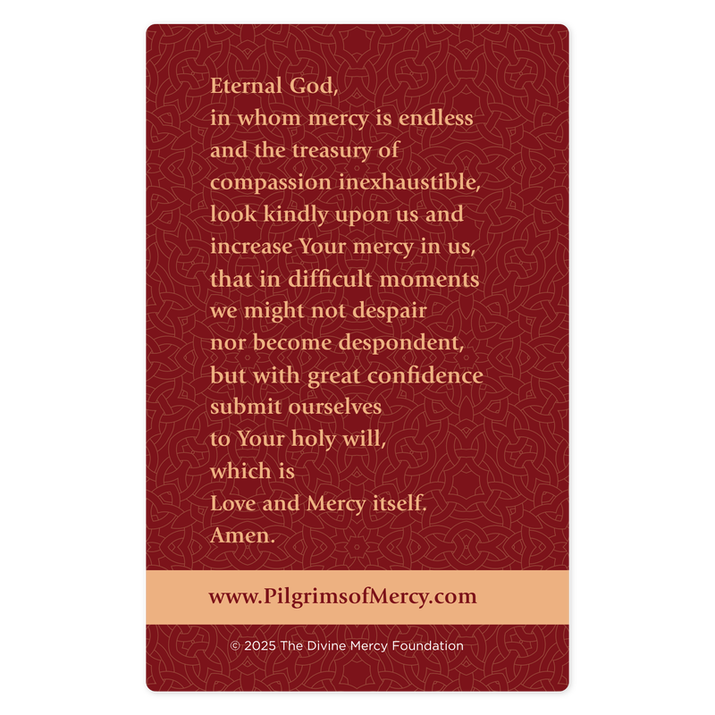 Product image for Divine Mercy Prayer Cards (Pack of 20) image number 5
