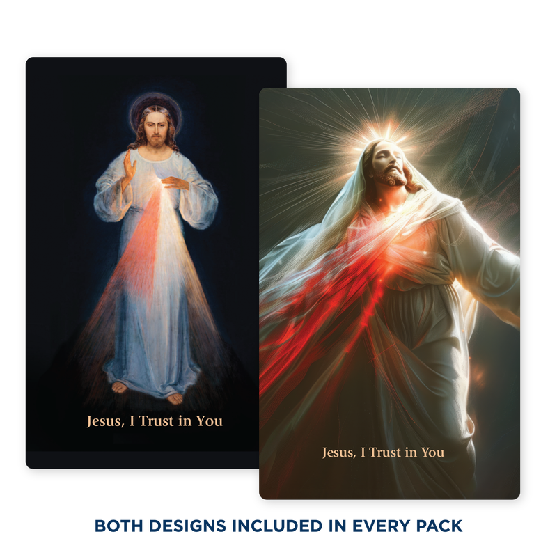 Product image for Divine Mercy Prayer Cards (Pack of 20) image number 0