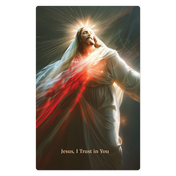 Product image for Divine Mercy Prayer Cards (Pack of 20) image number 3