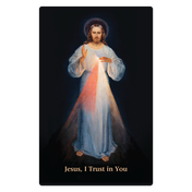 Product image for Divine Mercy Prayer Cards (Pack of 20) image number 4