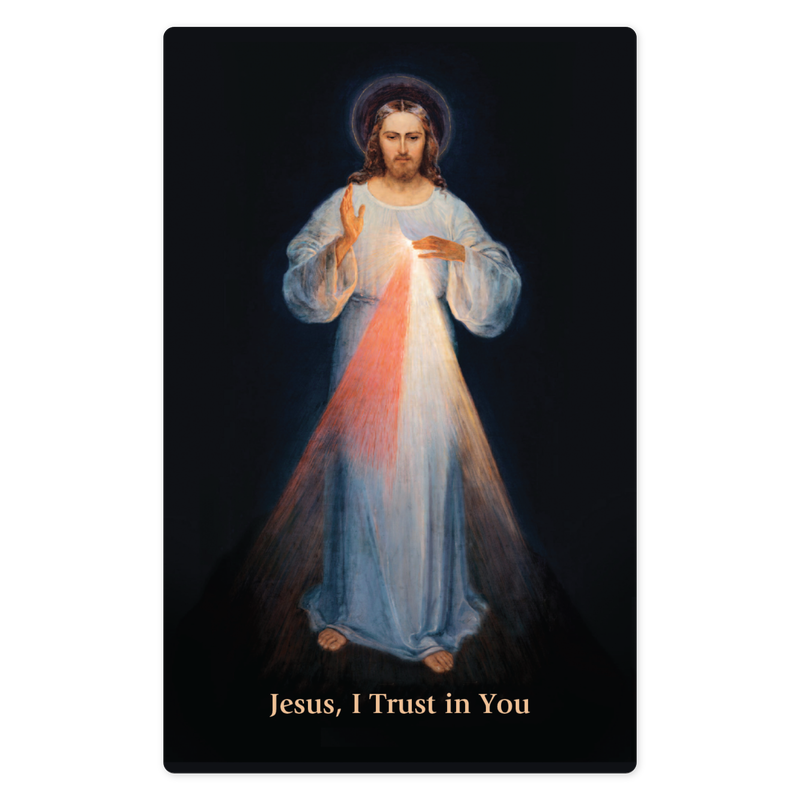 Product image for Divine Mercy Prayer Cards (Pack of 20) image number 4