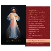 Product image for Divine Mercy Prayer Cards (Pack of 20) image number 2