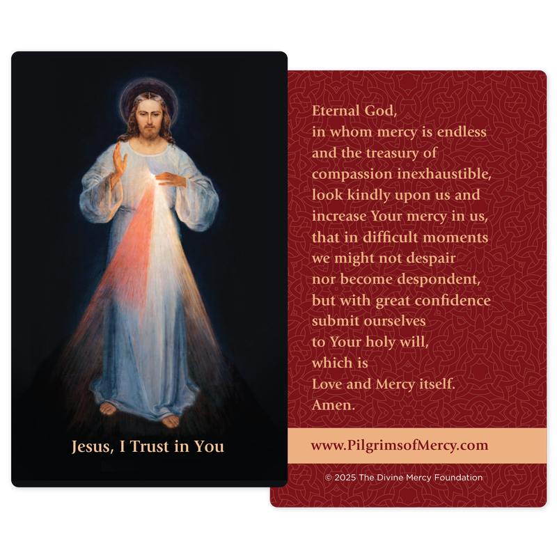 Product image for Divine Mercy Prayer Cards (Pack of 20) image number 2