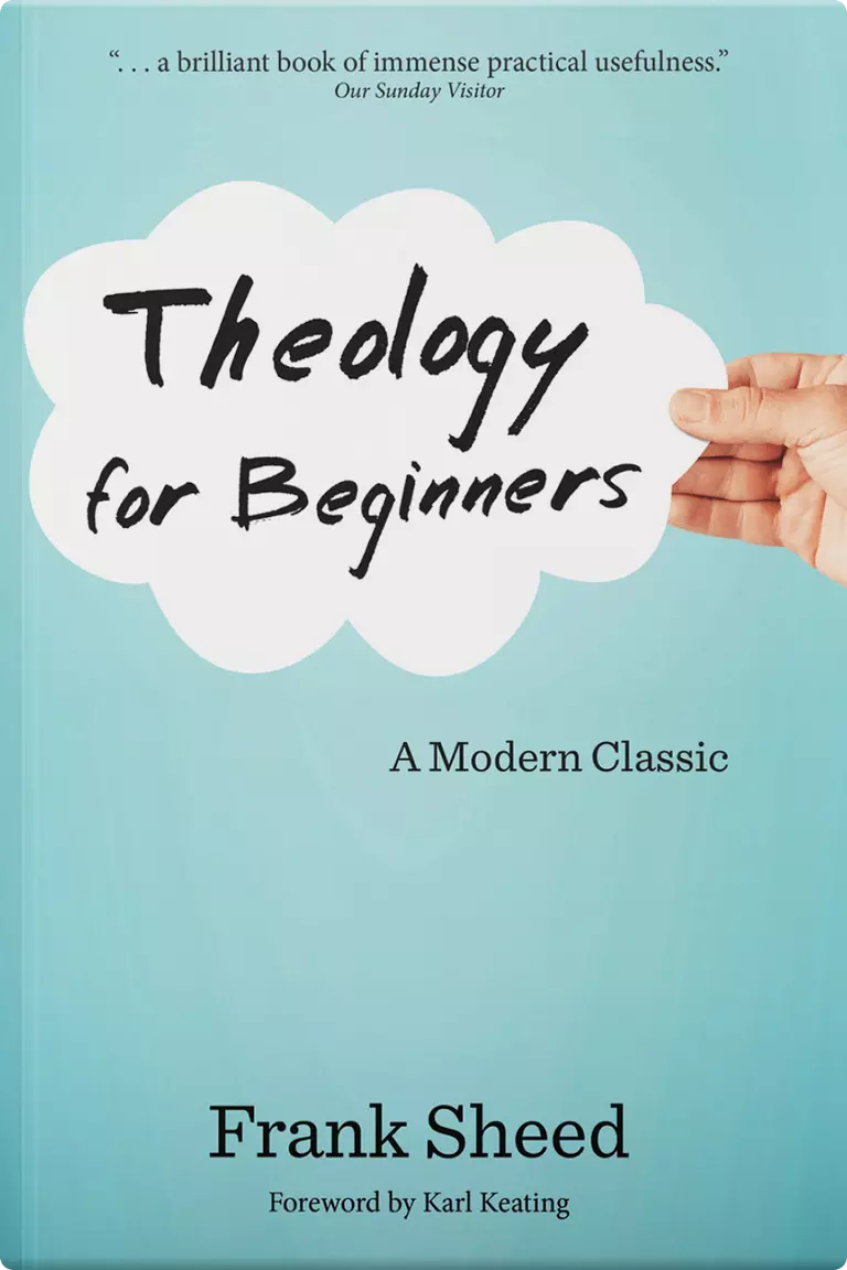 Theology for Beginners 